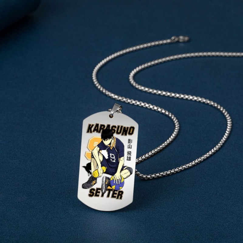 Nieuwe Haikyuu!! Roestvrijstal - Anime Merchandise Haikyuu recensie en prijs