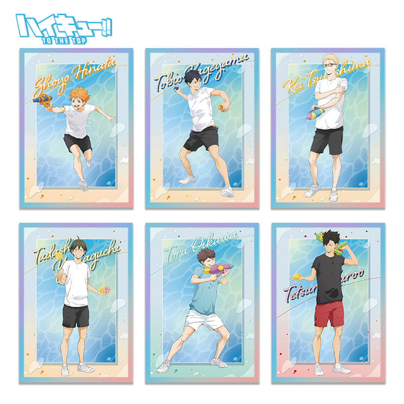 Haikyuu Volleybal Anime Acryl  - Anime Merchandise Haikyuu recensie en prijs